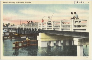 Bridge fishing in Ruskin, Florida