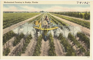 Mechanized farming in Ruskin, Florida