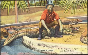 Taking it easy in Florida at the St. Augustine alligator and ostrich farm