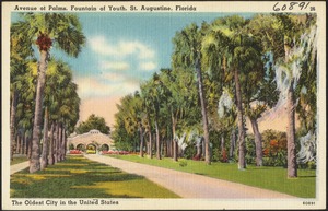 Avenue of Palms, Fountain of Youth, St. Augustine, Florida, the oldest city in the United States