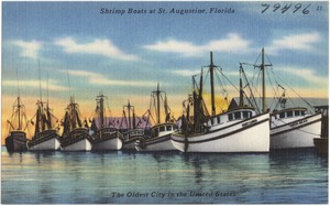 Shrimp boats at St. Augustine, Florida, the oldest city in the United States