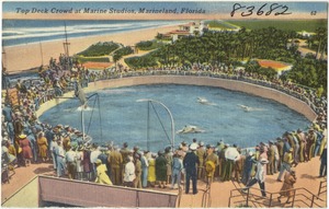 Top deck crowd at Marine Studios, Marineland, Florida