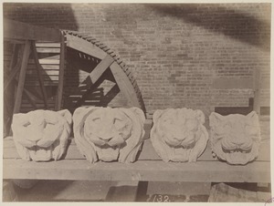 Plaster models of lion's heads for trial cornice, construction of the McKim Building