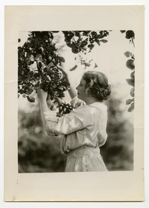 Helen Keller Grasping Branch of Fruit Tree