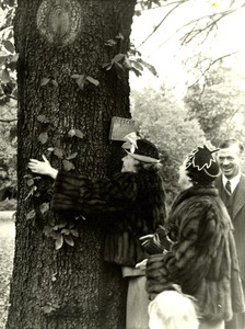 Helen Keller Hugging a Tree