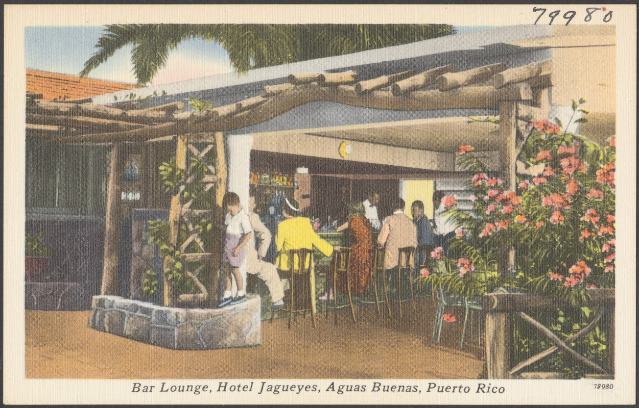 Bar lounge, Hotel Jagueyes, Aguas Buenas, Puerto Rico
