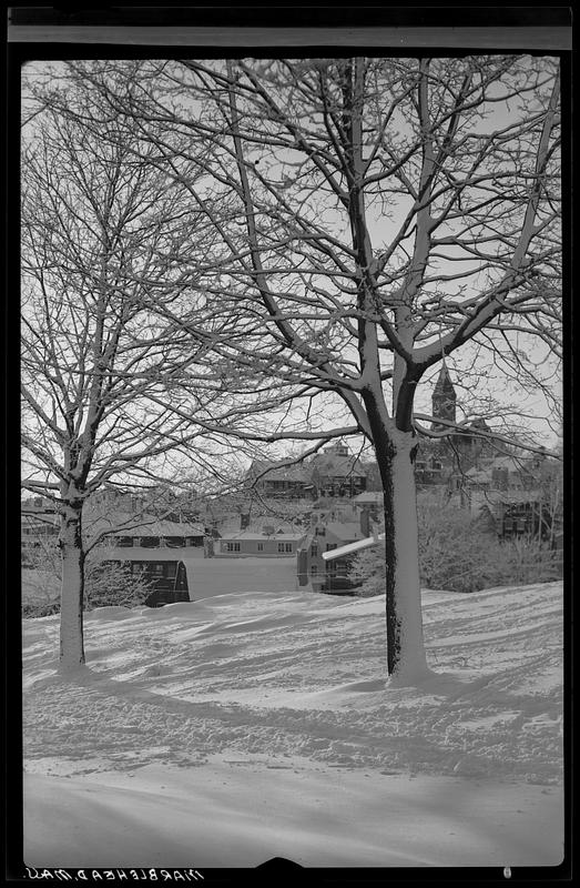 Abbot Hall Vista in Winter