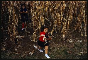 Two girls in cornfield