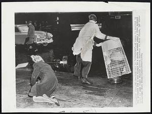 New York – Broadway Is ‘Windblown’ – A woman is knocked to the pavement and a man clings to a waste basket atop a fire hydrant today as gale winds whistle across Broadway at Park Place.