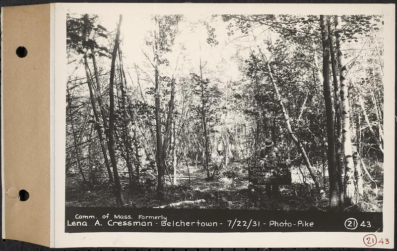 Contract No. 21, Portion of Ware-Belchertown Highway, Ware and Belchertown, land of the Commonwealth of Massachusetts, formerly of Lena A. Cressman, Plan No. S-4, Belchertown, Mass., Jul. 22, 1931