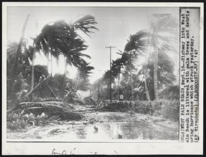 Highway into West Palm Beach is littered with palm trees and debris during hurricane which struck yesterday.