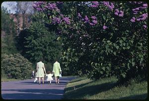 A girl walking between two women holding their hands, lilacs in foreground