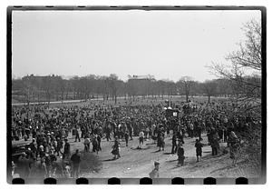 Egg hunt, Franklin Park