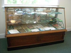Golden oak glazed display case