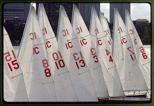Cambridge 1984: Sloops of a sailing club make ready to sail in the Charles River