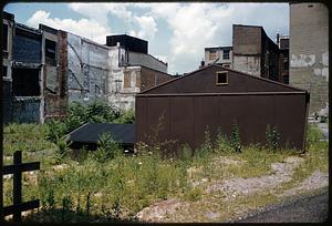 Shed in area with weeds behind dilapidated buildings