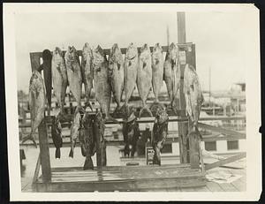 Fishing