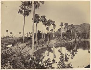 Tank south of Umga Temple, Madanpur, India