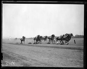Unidentified horse race