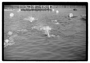 Swim competition