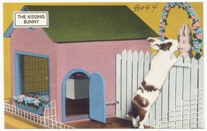 The kissing bunny