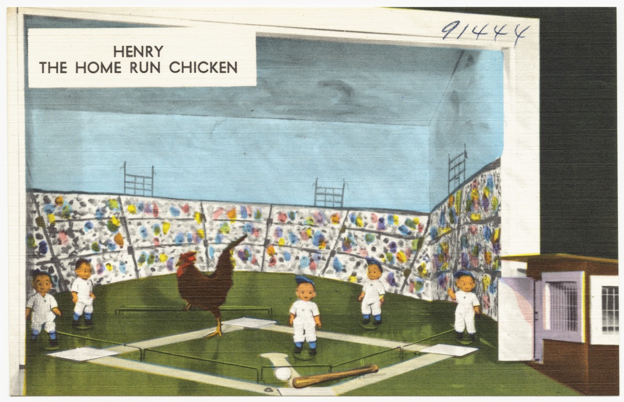 Henry, the Home Run Chicken