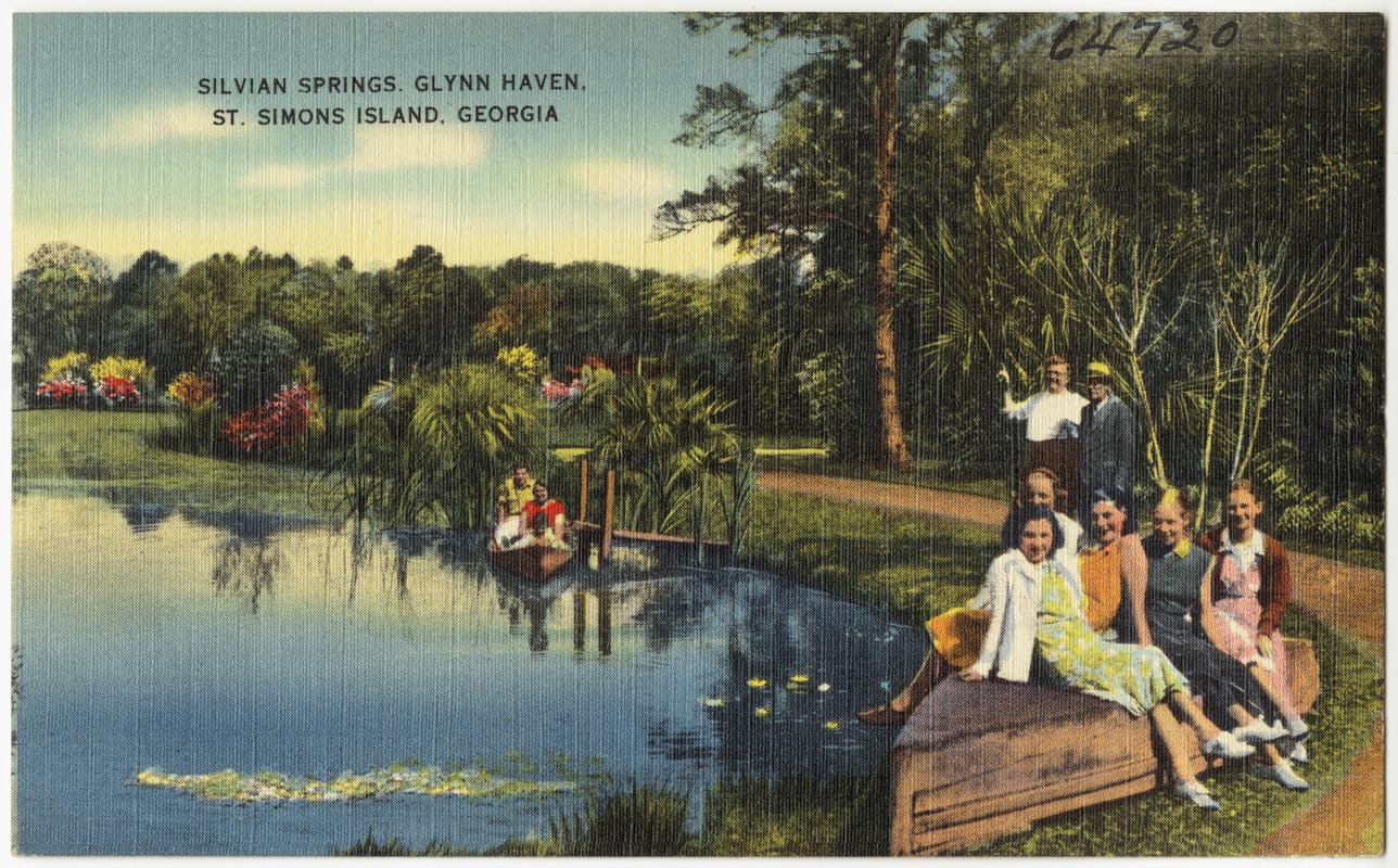 Silvian Springs, Glynn Haven, St. Simons Island, Digital