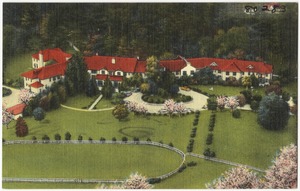 Hotel Thomas