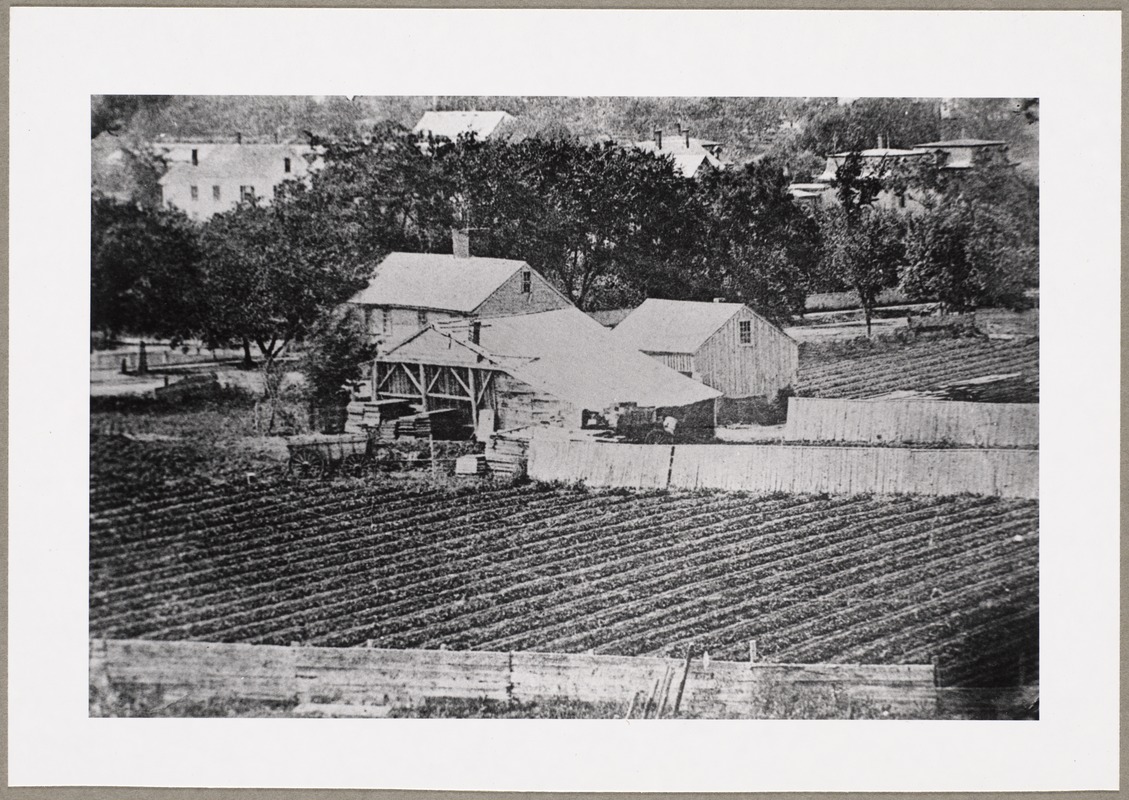 Allen and Wyman farms