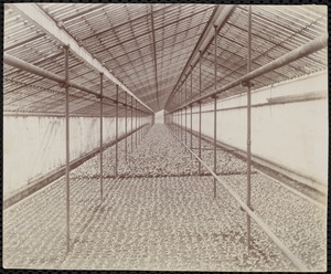 J. Howell Crosby's greenhouse