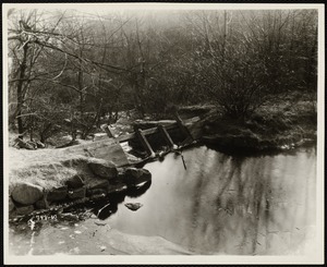 Mill Brook and Fowle's Pond