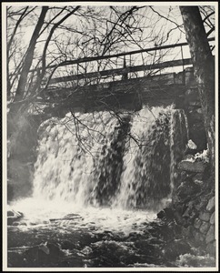 Mill Street falls