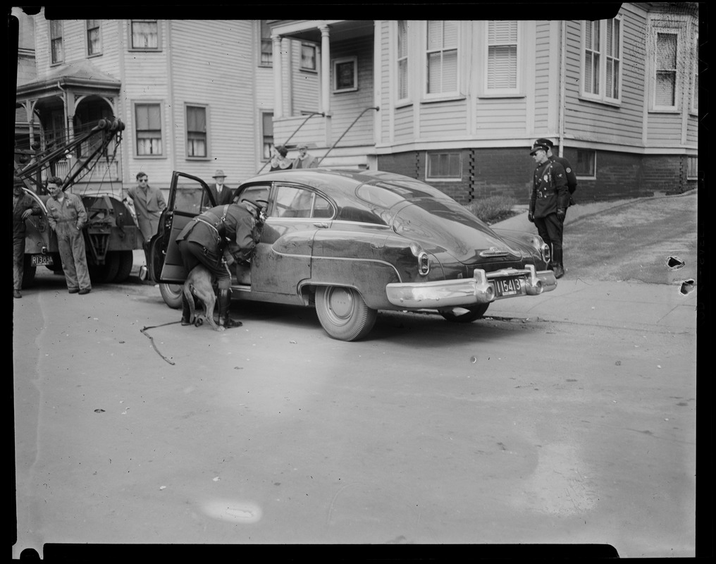 Police officer and dog look through a vehicle