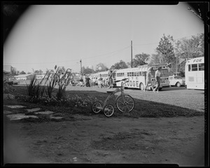 Tricycle in a field by "Lodge for Senate" buses