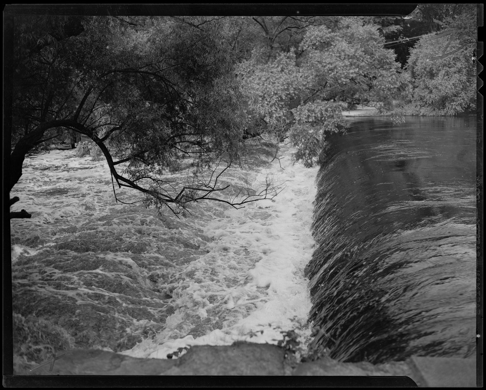 Flood waters with tree branches and shrubs