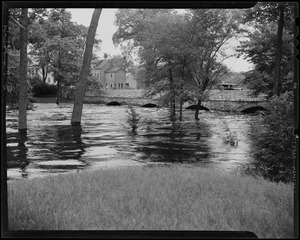 Flooded waters under bridge with houses in the distance