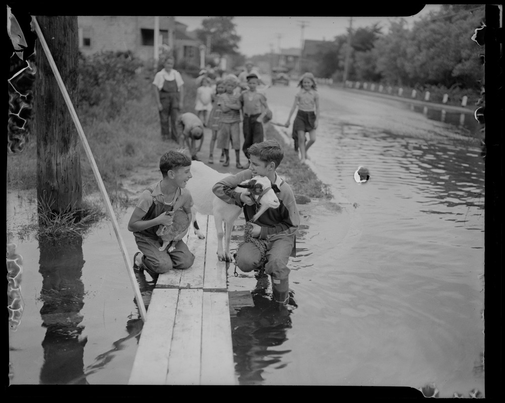 Children with a rabbit and a goat on the banks of flooded street