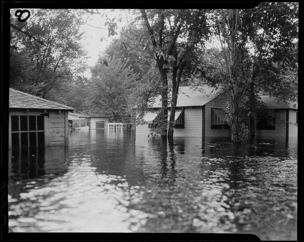 Flooded waters among homes and trees