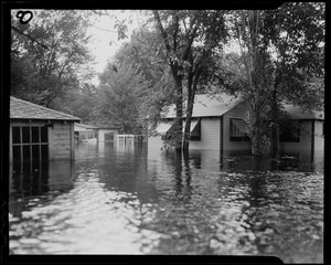 Flooded waters among homes and trees