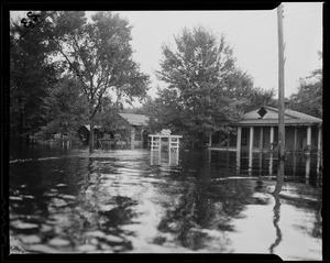 Flooded waters among homes and trees