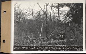 Contract No. 66, Regulating Dams, Middle Branch (New Salem), and East Branch of the Swift River, Hardwick and Petersham (formerly Dana), looking southeasterly, showing swamp east of east branch and south of Dana Center-Barre Road, east branch regulating dam, Hardwick, Mass., Dec. 14, 1938