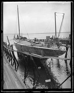 Yankee at Lawley's yard