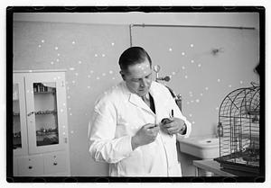 Dr. Dailey Angell Memorial Animal Hospital