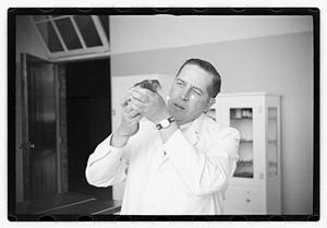 Dr. Dailey Angell Memorial Animal Hospital