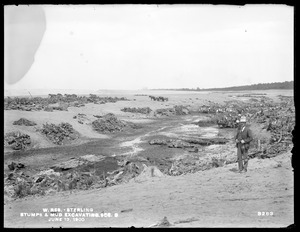 Wachusett Reservoir, stumps and muck excavation, Section 5, Sterling, Mass., Jun. 13, 1900