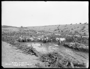 Wachusett Reservoir, stumps and muck excavation, Section 5, Sterling, Mass., Jun. 13, 1900