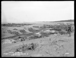 Wachusett Reservoir, stumps and muck excavation, Section 5, Sterling, Mass., Jun. 13, 1900