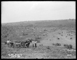 Wachusett Reservoir, stripping, Section 6, Boylston, Mass., Jun. 28, 1900