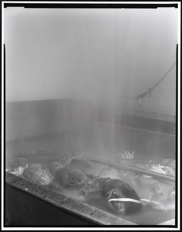 Steaming tank with lobsters