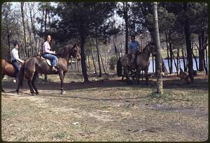 Horseback riders along riverside